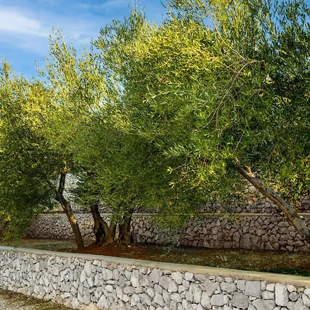 Luxury Istria 빌라