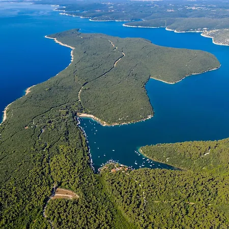 فيلة Luxury Istria Viskovići
